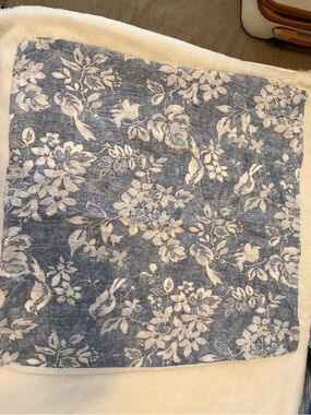 Linden Street- Blue and White set of 2 Euro Shams